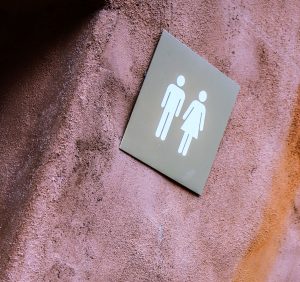 toilette canalisation bouche
