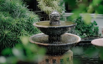 Utilisez un système d’irrigation au goutte à goutte pour économiser de l’eau et nourrir vos plantes avec précision.