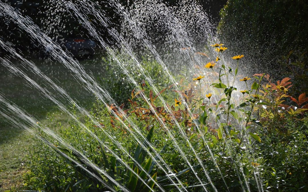 Évitez les arroseurs automatiques en utilisant des systèmes plus efficaces tels que l’irrigation au goutte à goutte ou l’utilisation de seaux et d’arrosoirs.