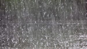 Pluie qui tombe