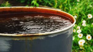 Eau de pluie dans un bac