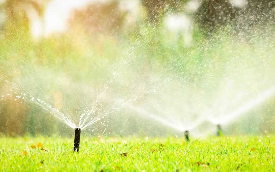 Comment choisir un système d’arrosage automatique économe en eau ?