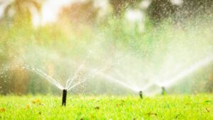 Arrosage automatique jardin