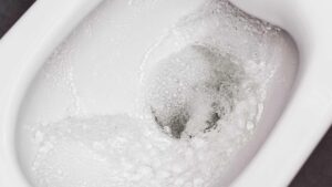 Chasse d'eau des toilettes