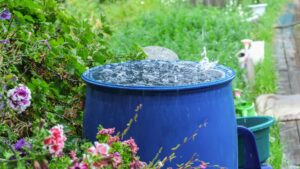 Eau de pluie gardée