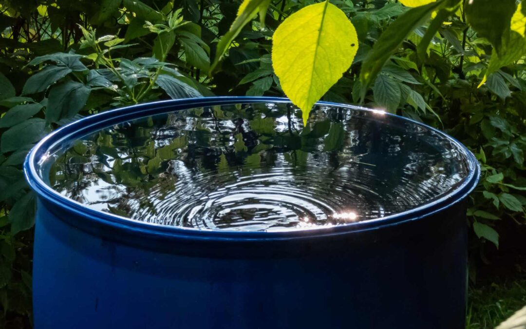 Conseils pour choisir et installer un système de récupération d’eau de pluie