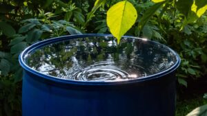 Bac de récupération d'eau de pluie