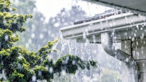Optimiser l’eau de pluie au jardin : astuces pratiques